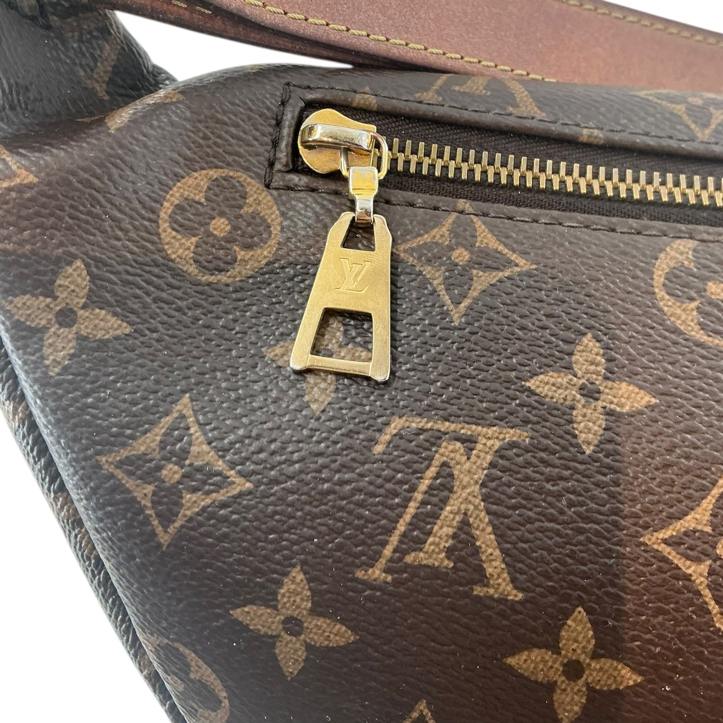 Louis Vuitton Monogram Bumbag
