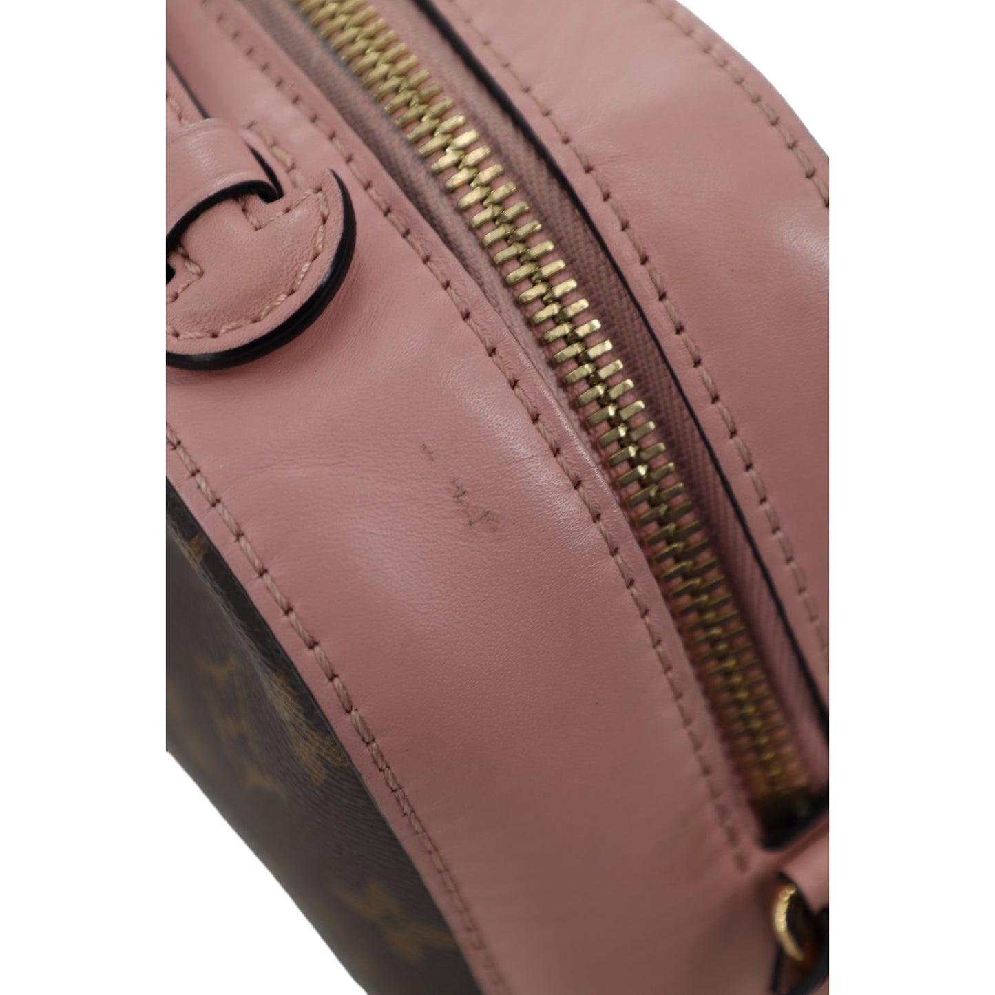 Louis Vuitton Saintonage Monogram Bag