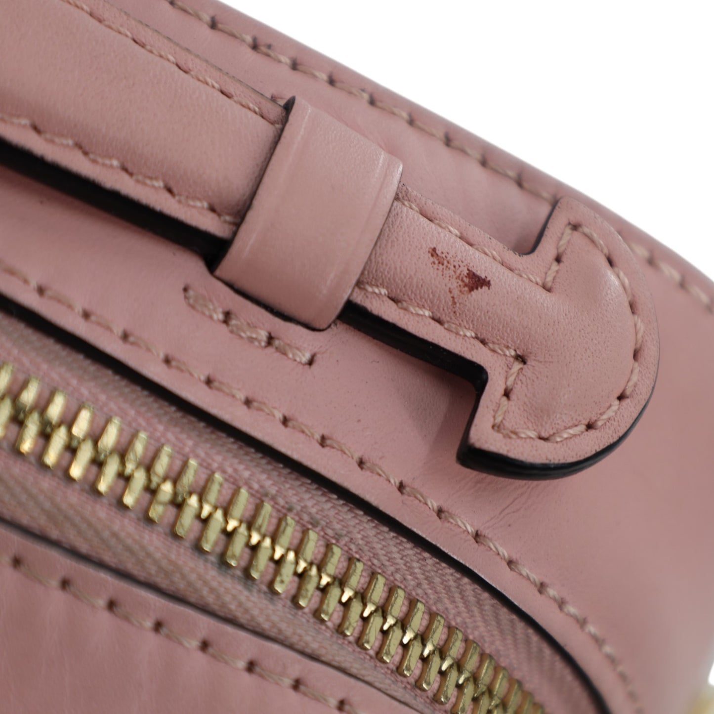 Louis Vuitton Saintonage Monogram Bag