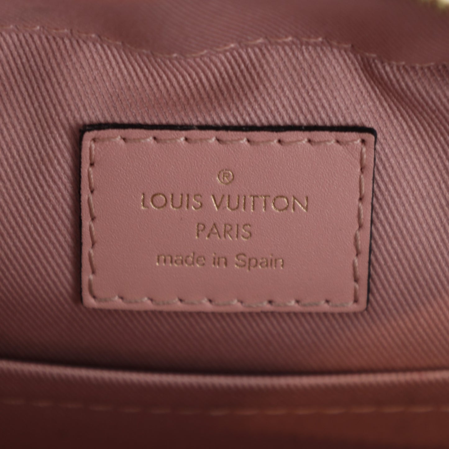 Louis Vuitton Saintonage Monogram Bag