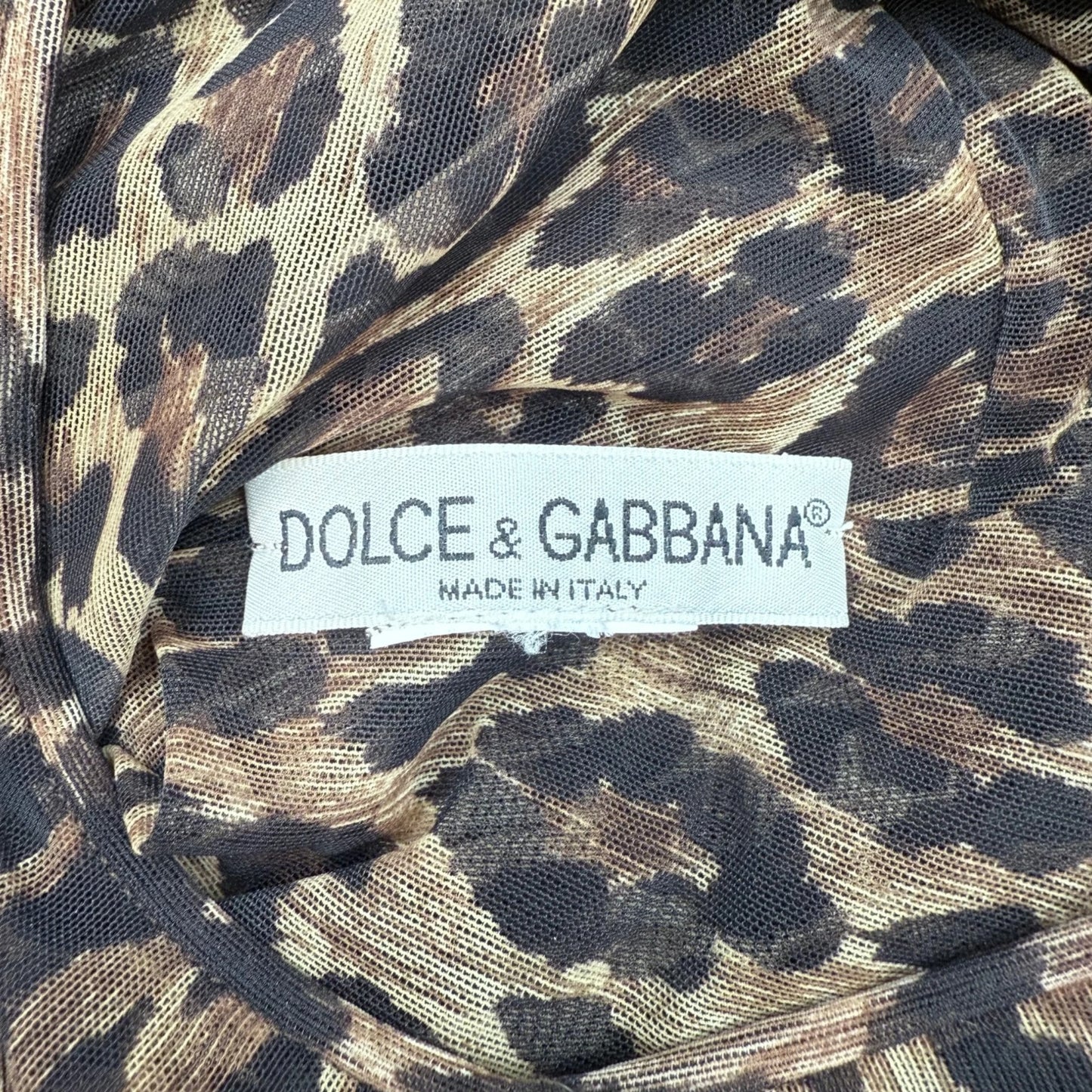 Dolce & Gabbana Sheer Leopard Dress