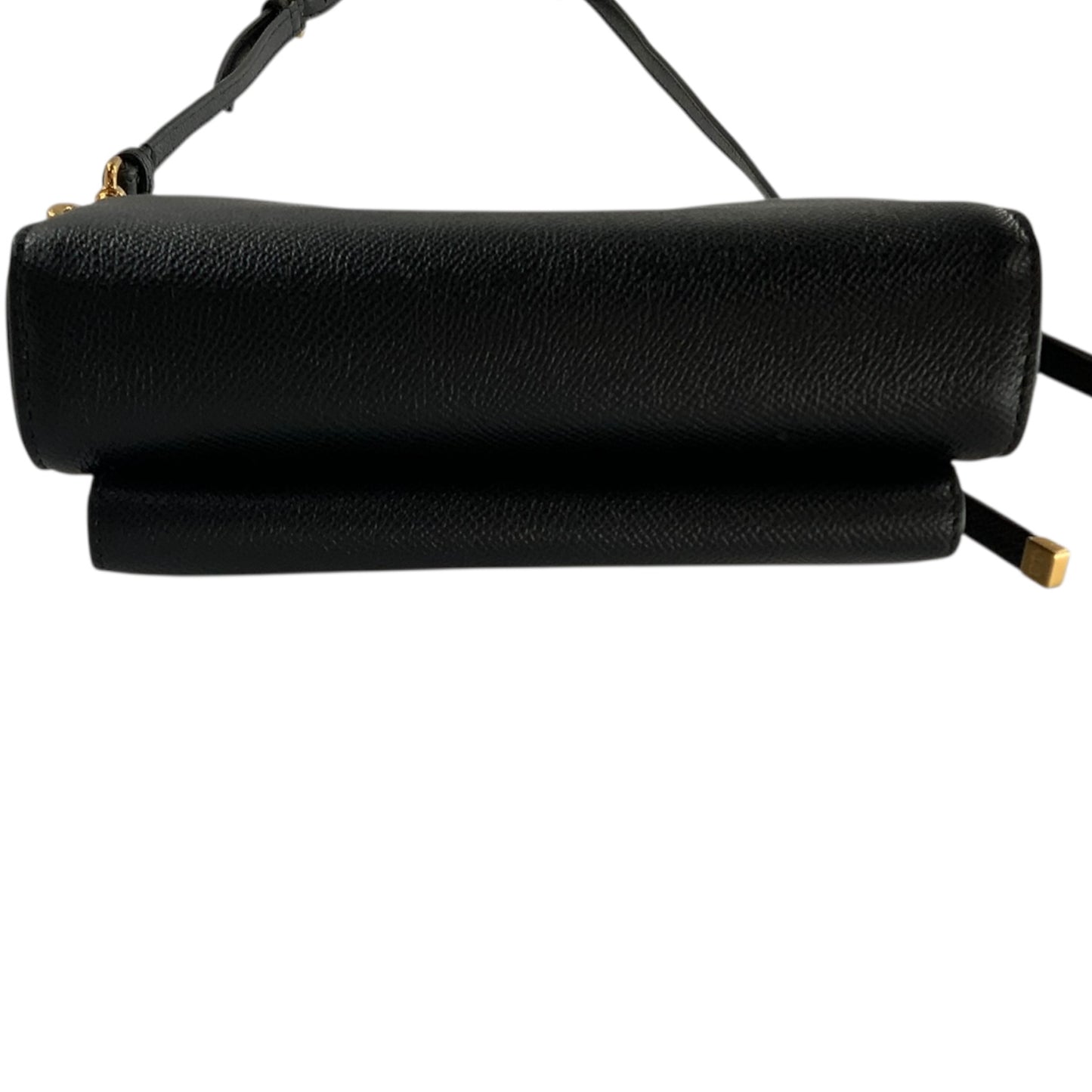Christian Dior Grained Calfskin Caro Double Pouch Crossbody Bag