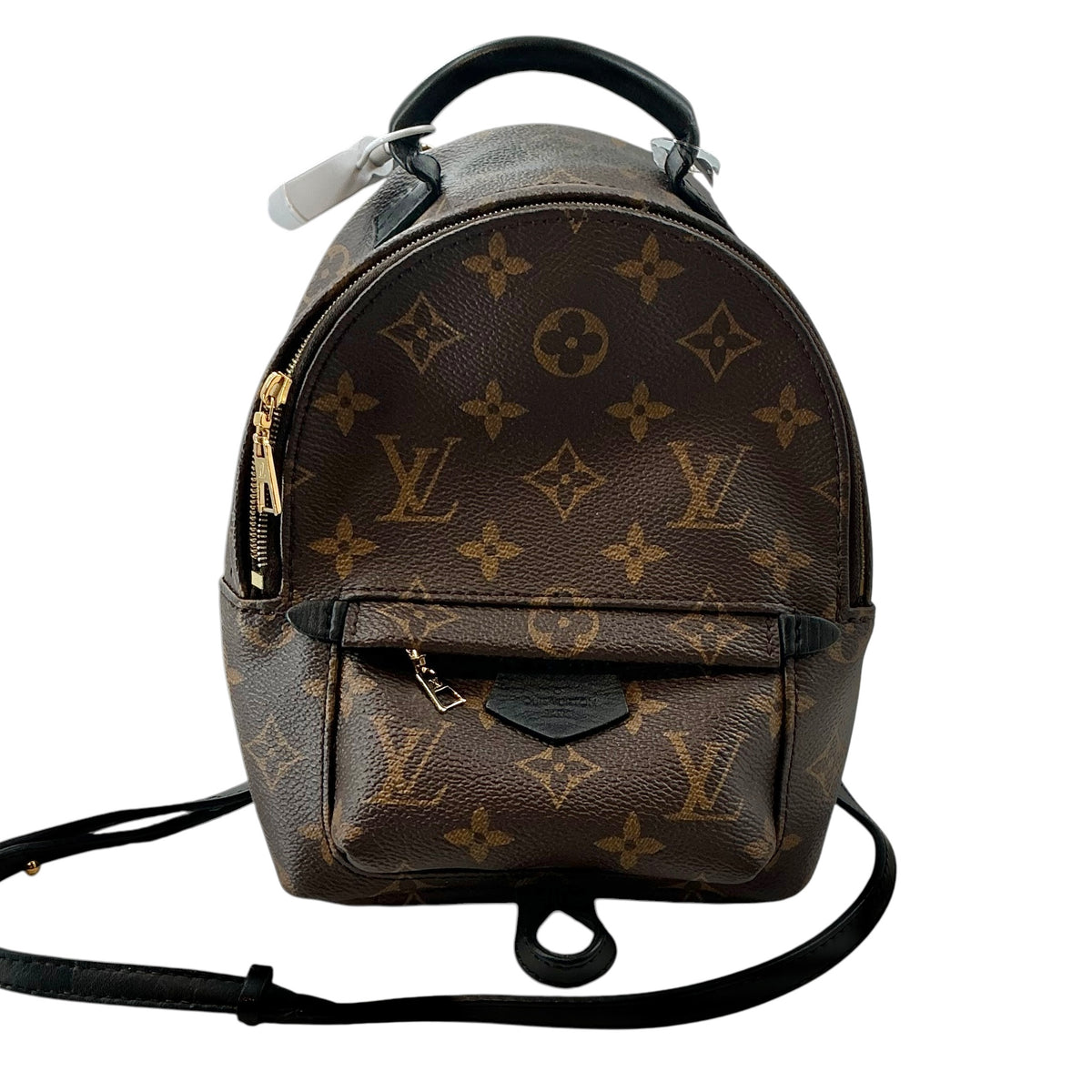 Louis Vuitton Monogram Palm Springs Mini Backpack