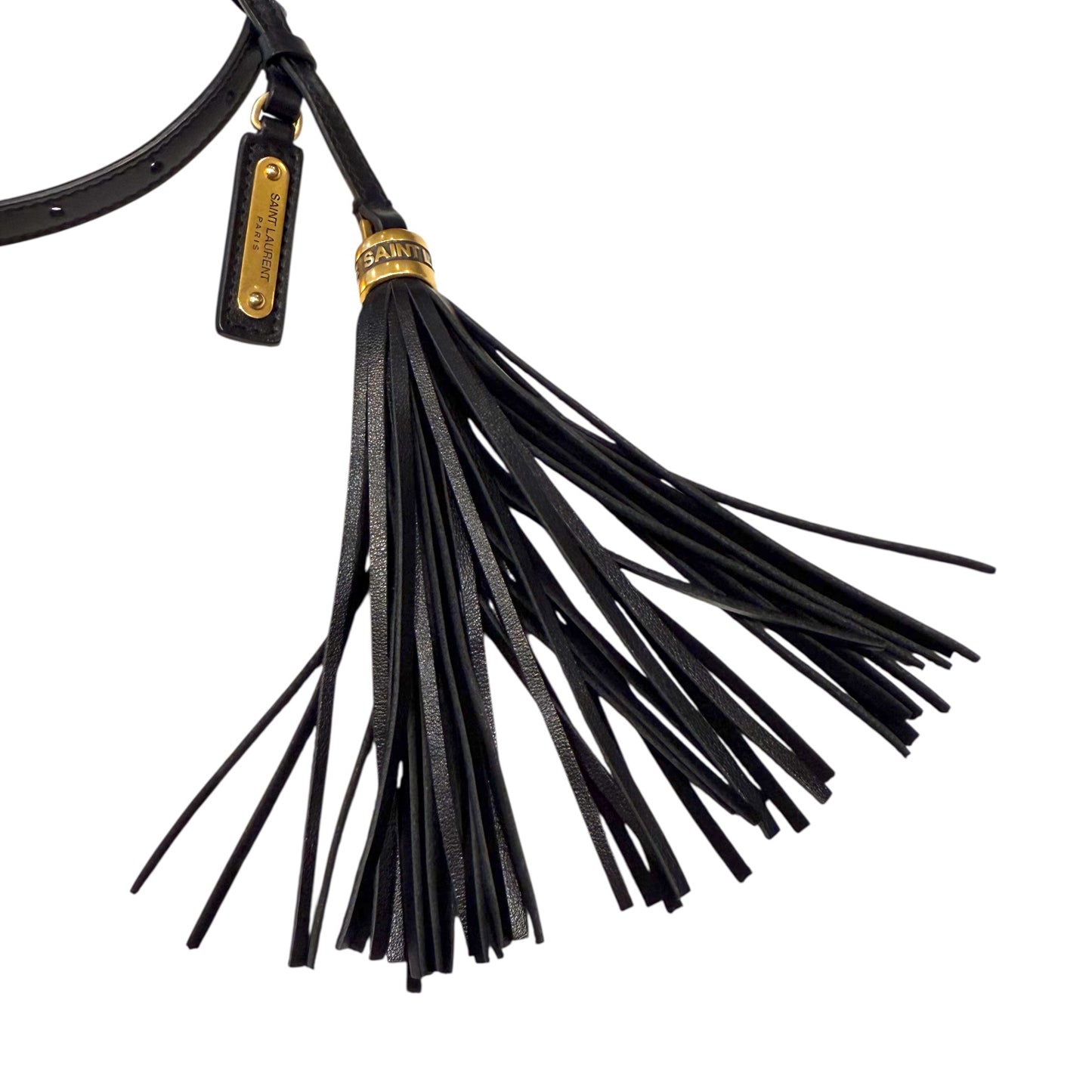 Saint Laurent Lou Lou Camera Bag