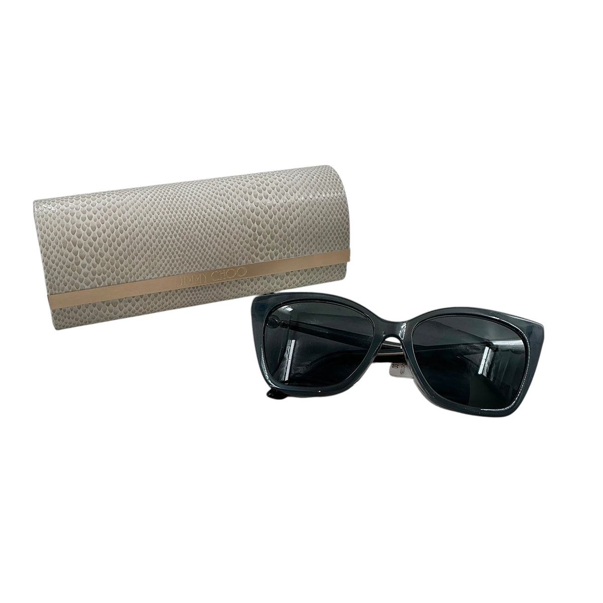 Jimmy Choo RUA/G/S Women's Cat-Eye Sunglasses – Black Acetate Frames