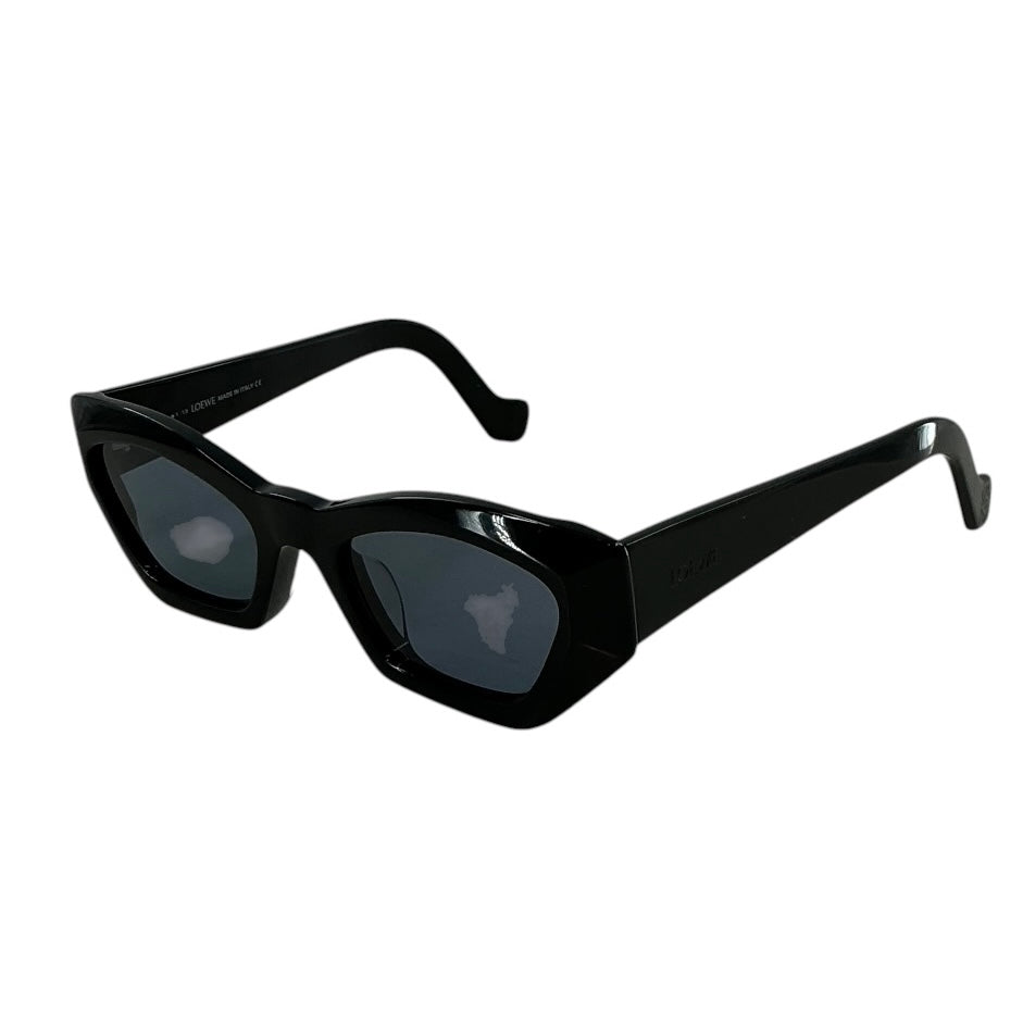 LOEWE Venezia Cat-Eye Acetate Sunglasses