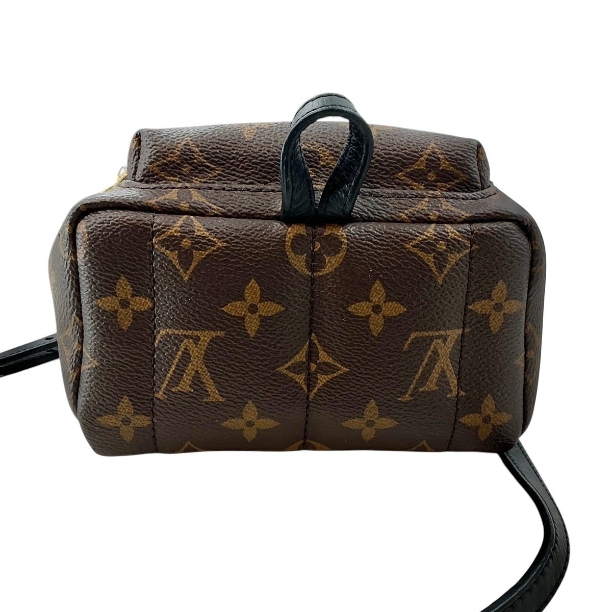 Louis Vuitton Monogram Palm Springs Mini Backpack