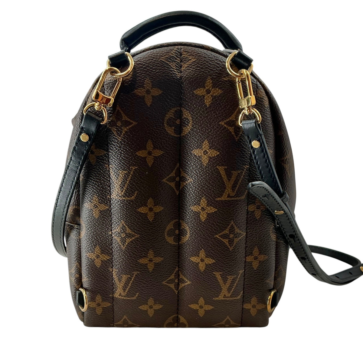 Louis Vuitton Monogram Palm Springs Mini Backpack