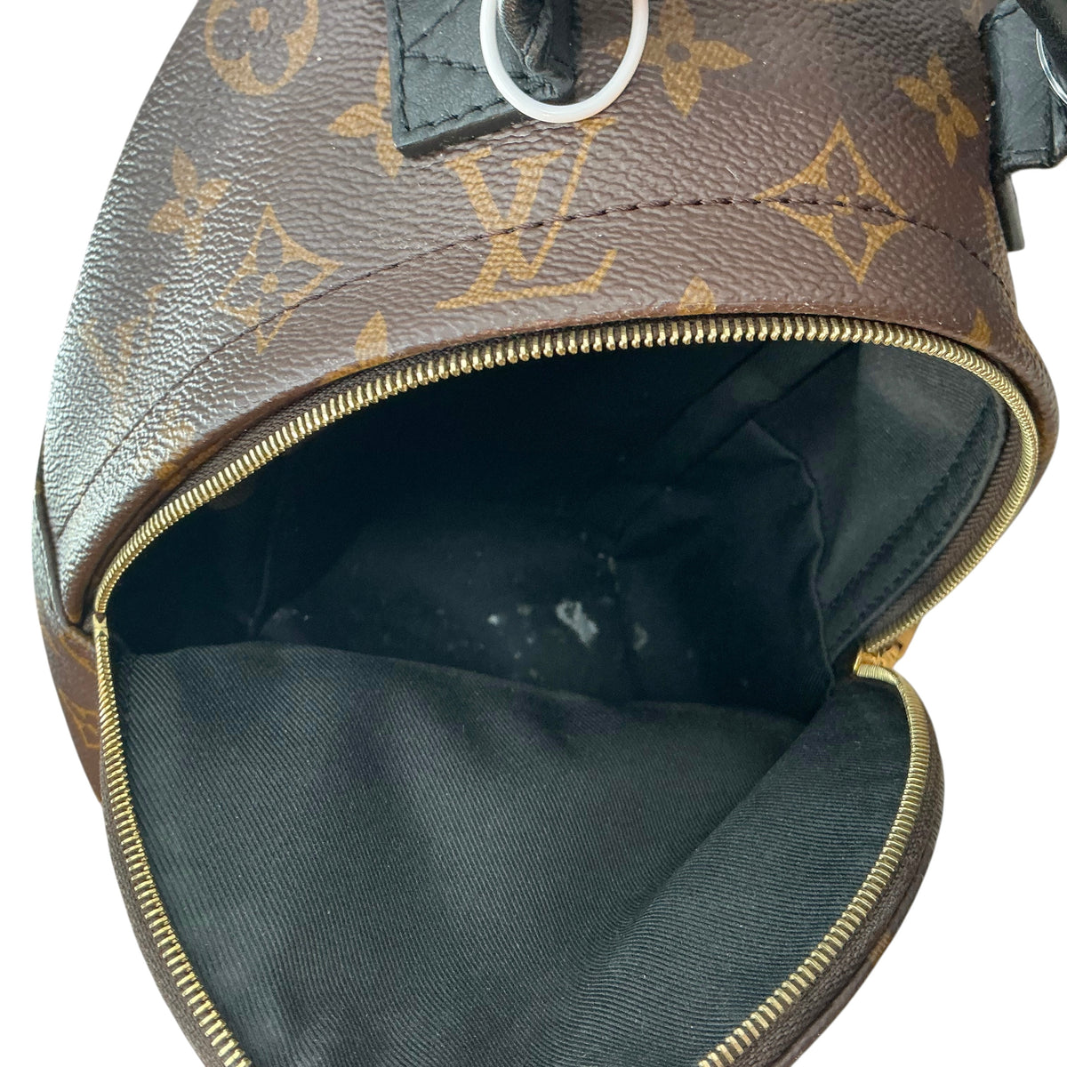 Louis Vuitton Monogram Palm Springs Mini Backpack