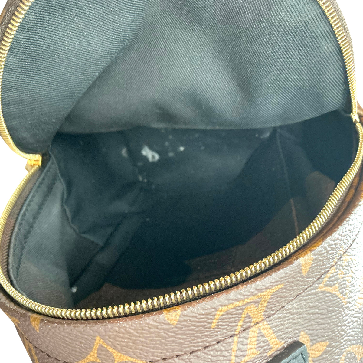 Louis Vuitton Monogram Palm Springs Mini Backpack
