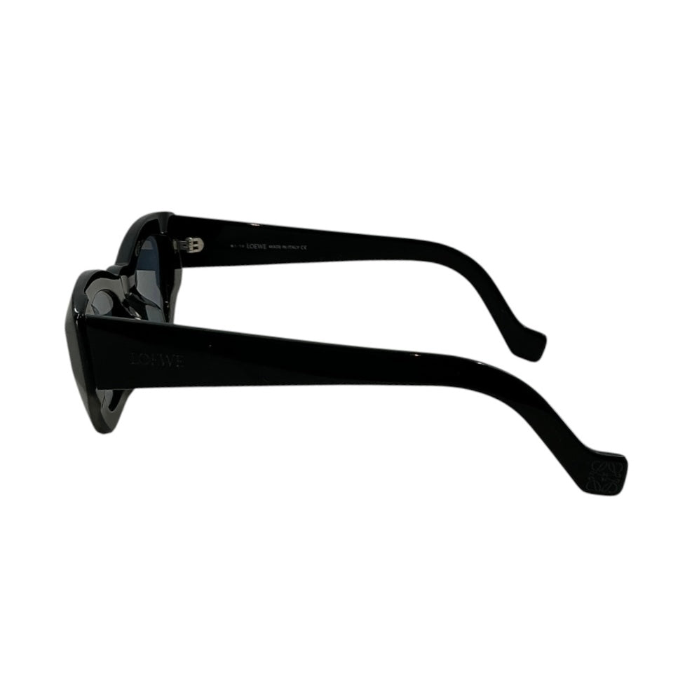 LOEWE Venezia Cat-Eye Acetate Sunglasses