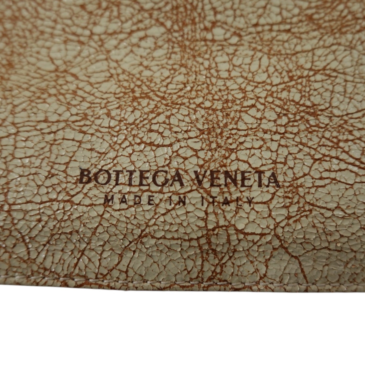 Bottega Veneta The Twist Bag