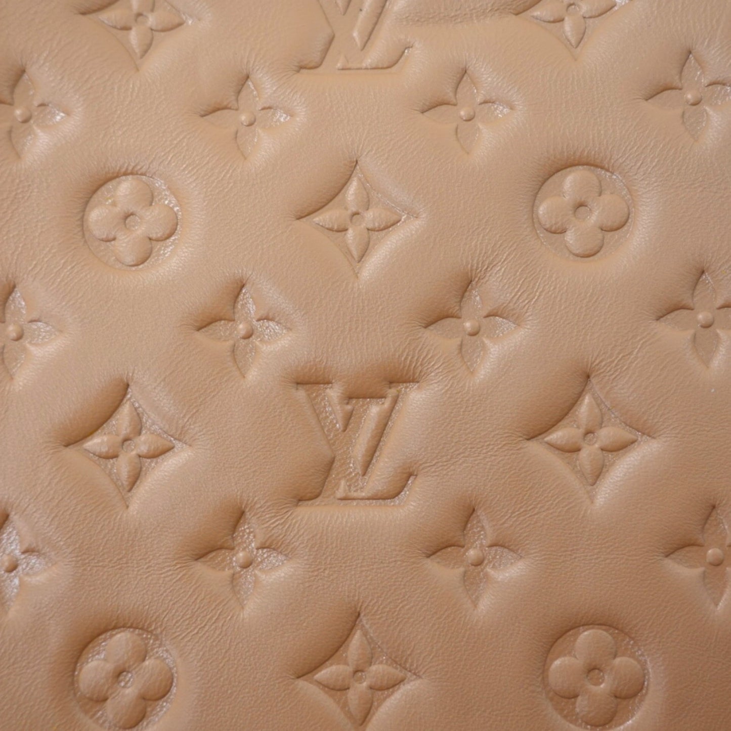 Louis Vuitton Monogram Embossed Coussin PM Shoulder Bag