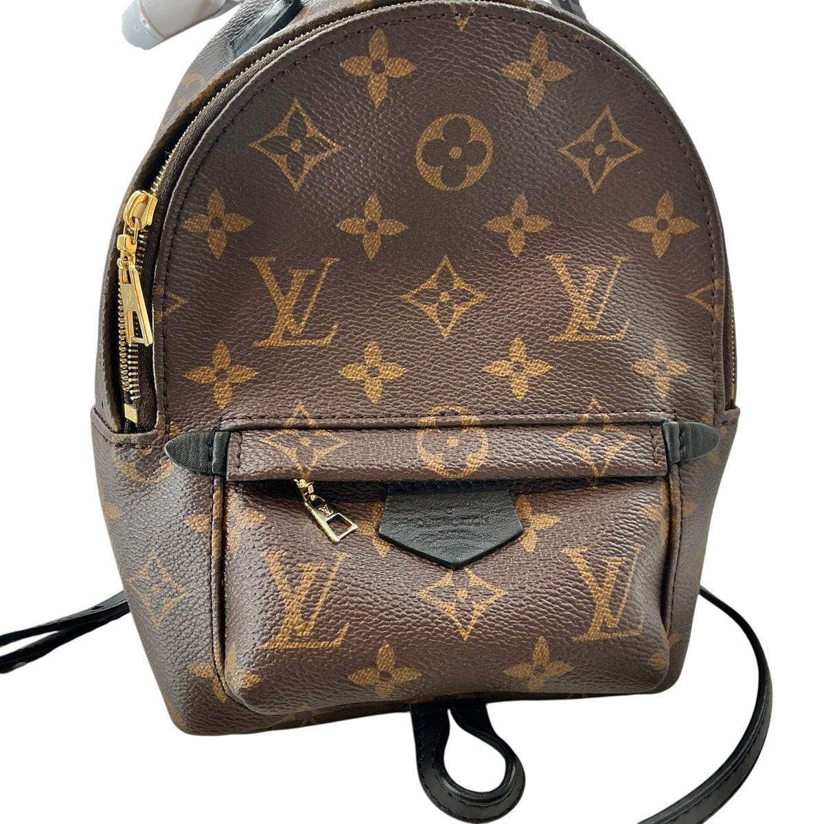 Louis Vuitton Monogram Palm Springs Mini Backpack