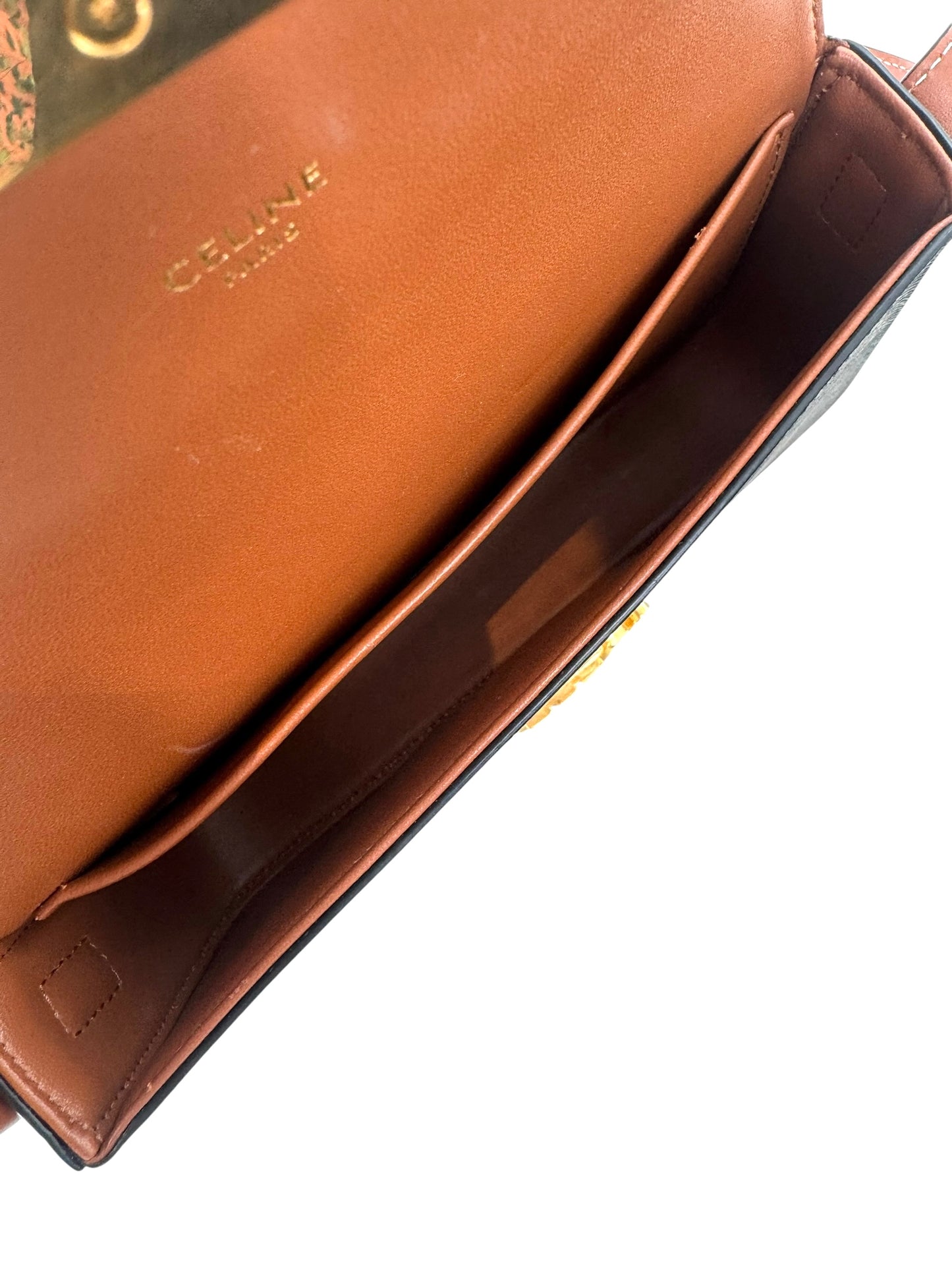 Celine Triomphe Claude Shoulder Bag in Triomphe Canvas and Calfskin