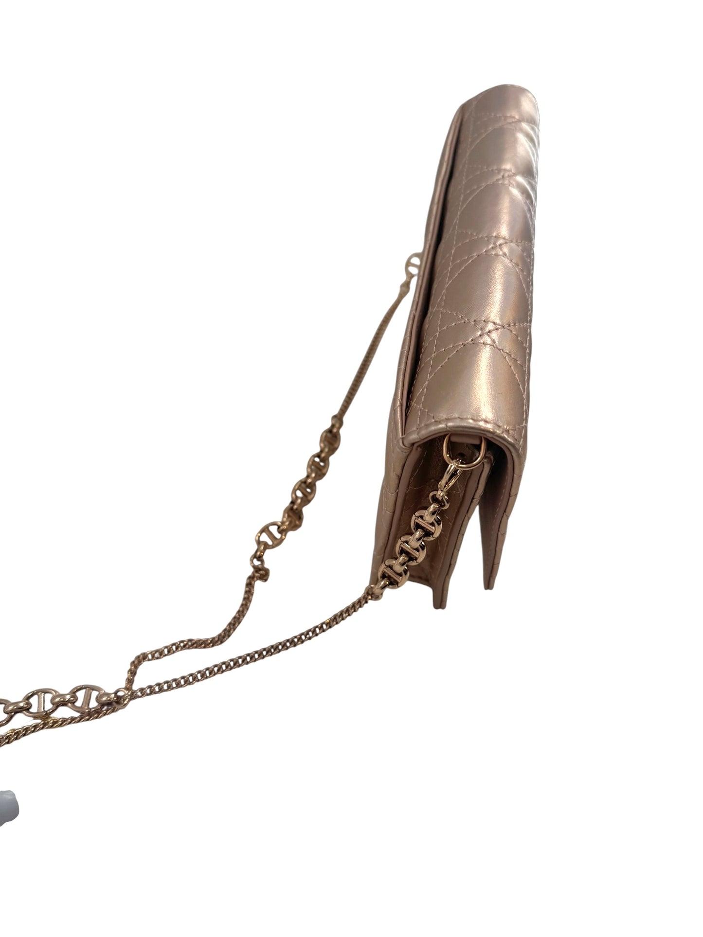 Christian Dior Diorama Wallet on a Chain Bag