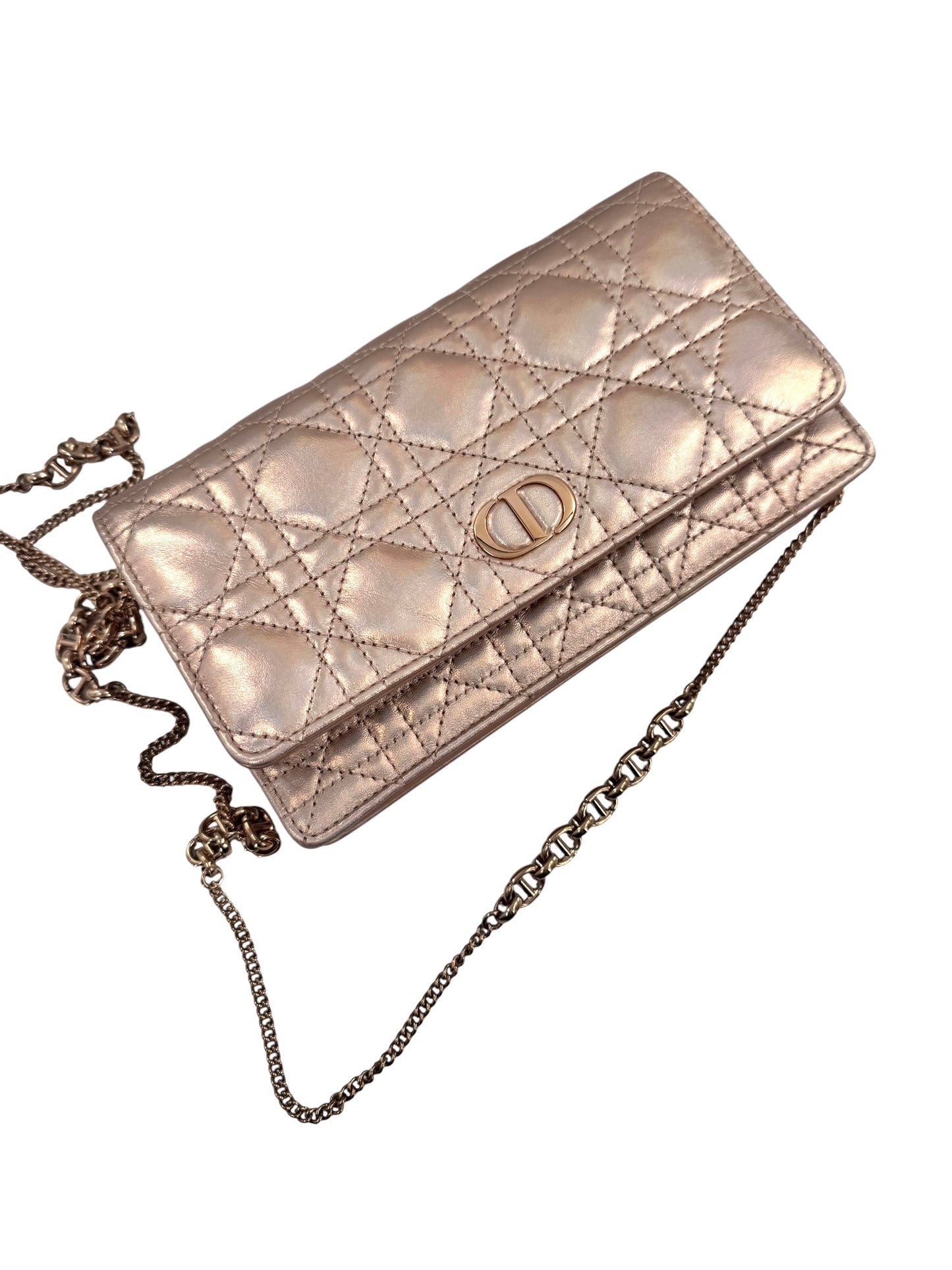 Christian Dior Diorama Wallet on a Chain Bag