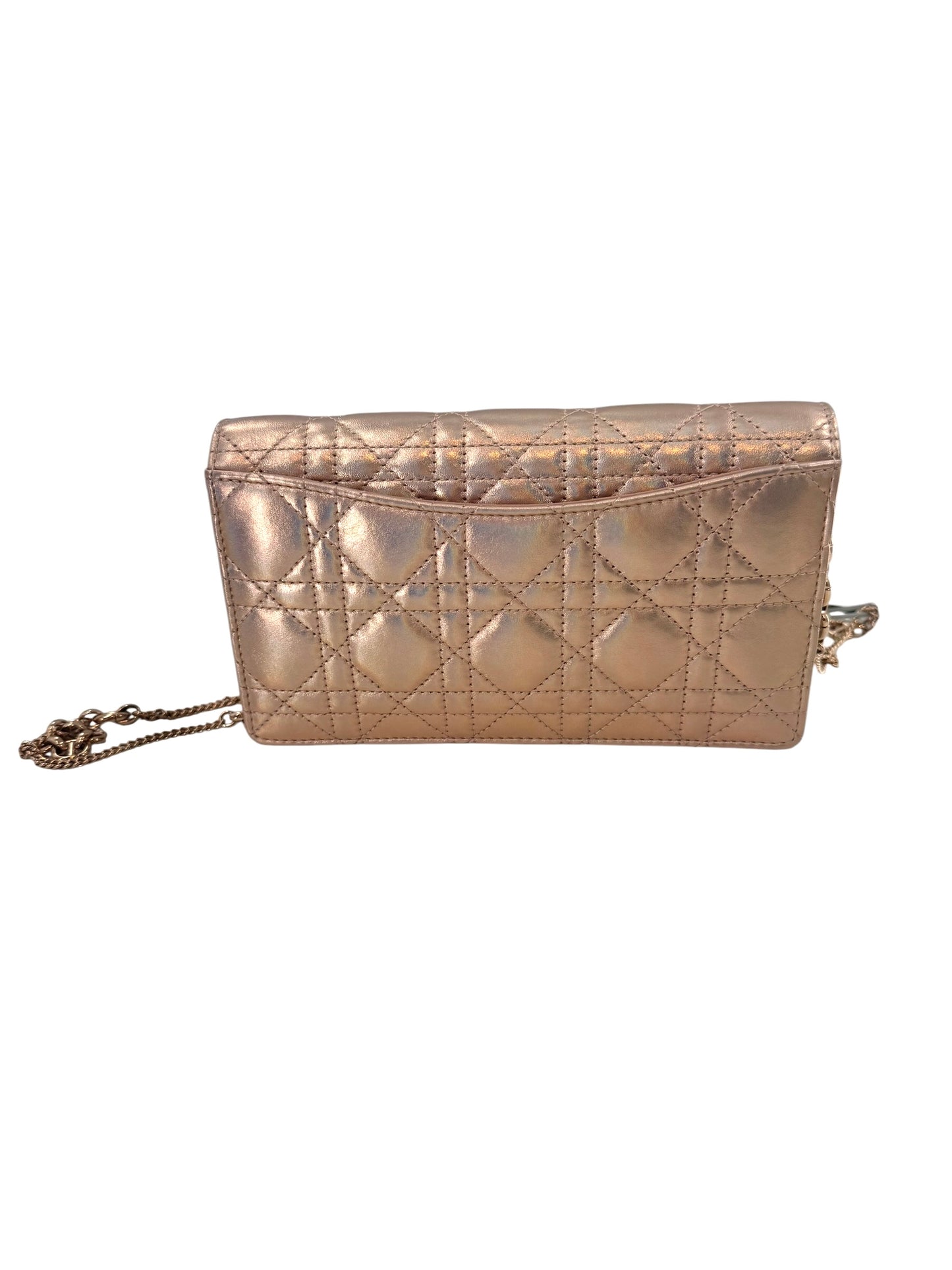 Christian Dior Diorama Wallet on a Chain Bag