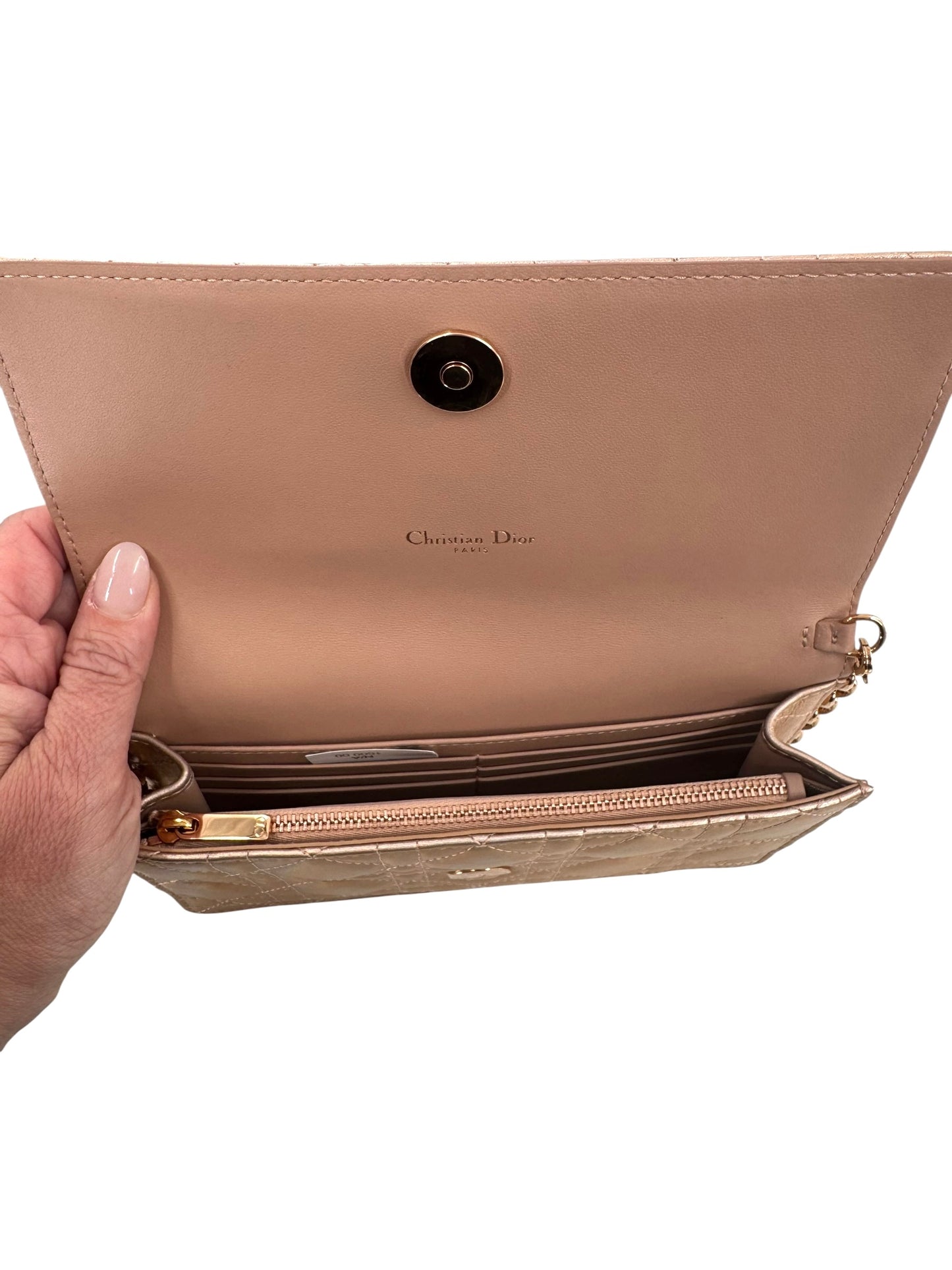 Christian Dior Diorama Wallet on a Chain Bag