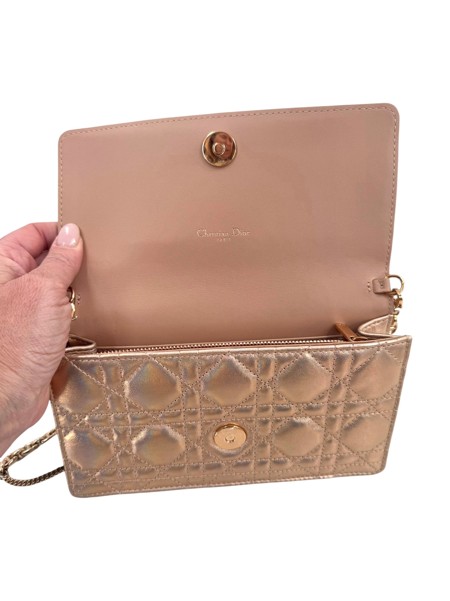 Christian Dior Diorama Wallet on a Chain Bag