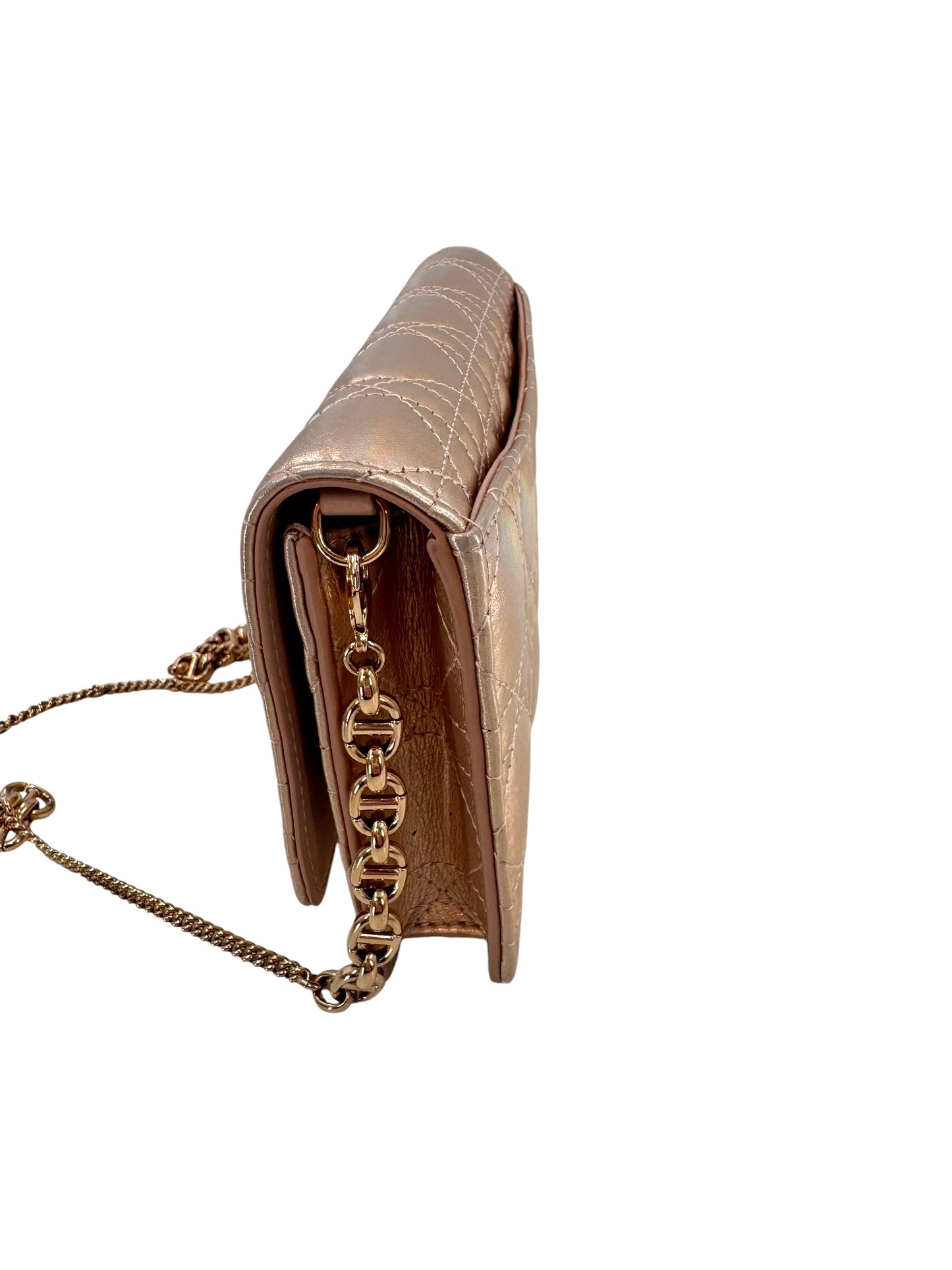 Christian Dior Diorama Wallet on a Chain Bag
