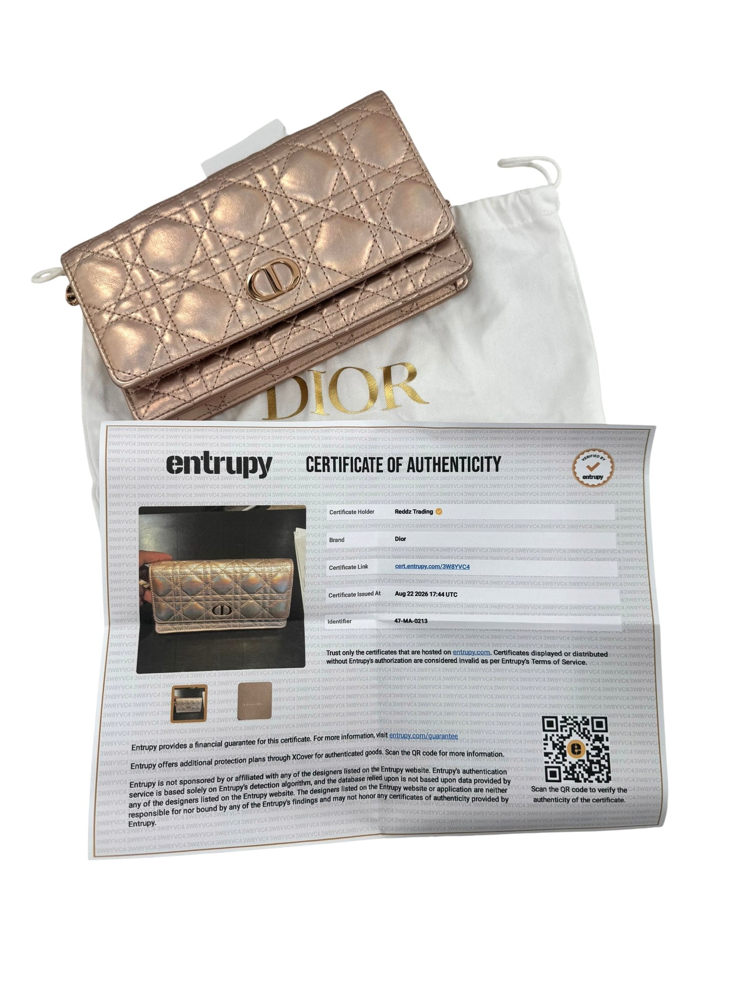 Christian Dior Diorama Wallet on a Chain Bag