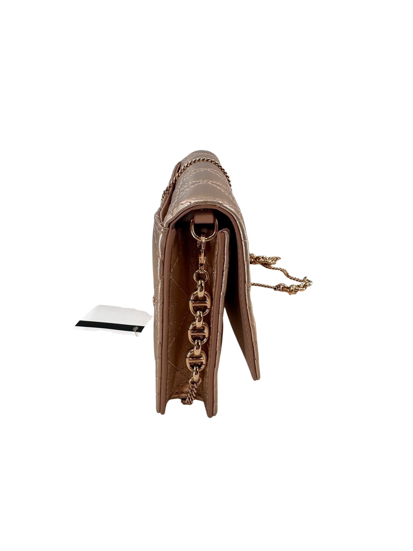 Christian Dior Diorama Wallet on a Chain Bag