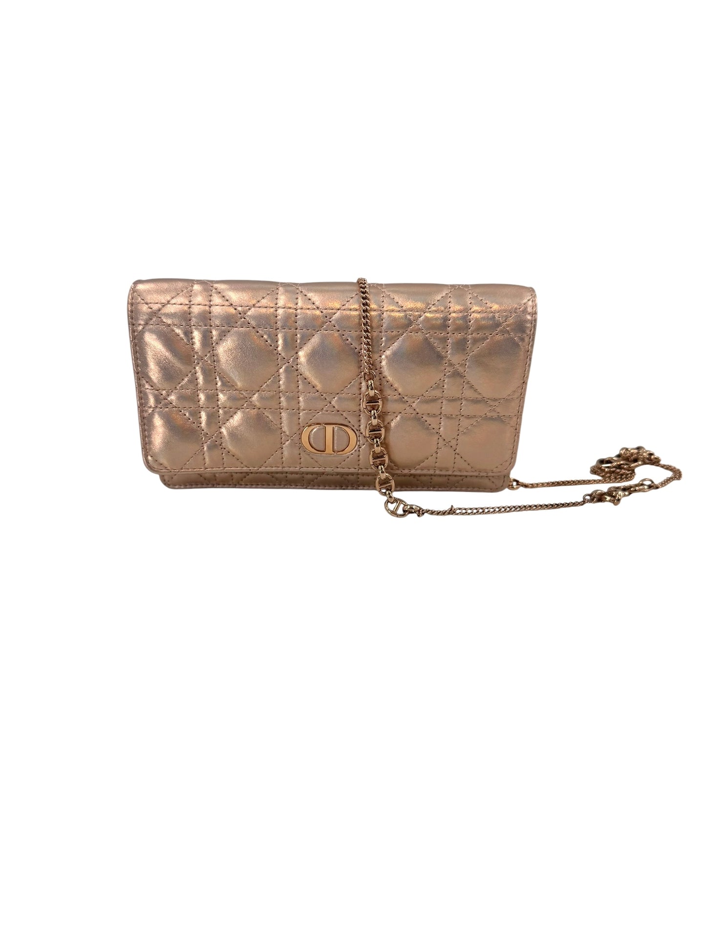 Christian Dior Diorama Wallet on a Chain Bag