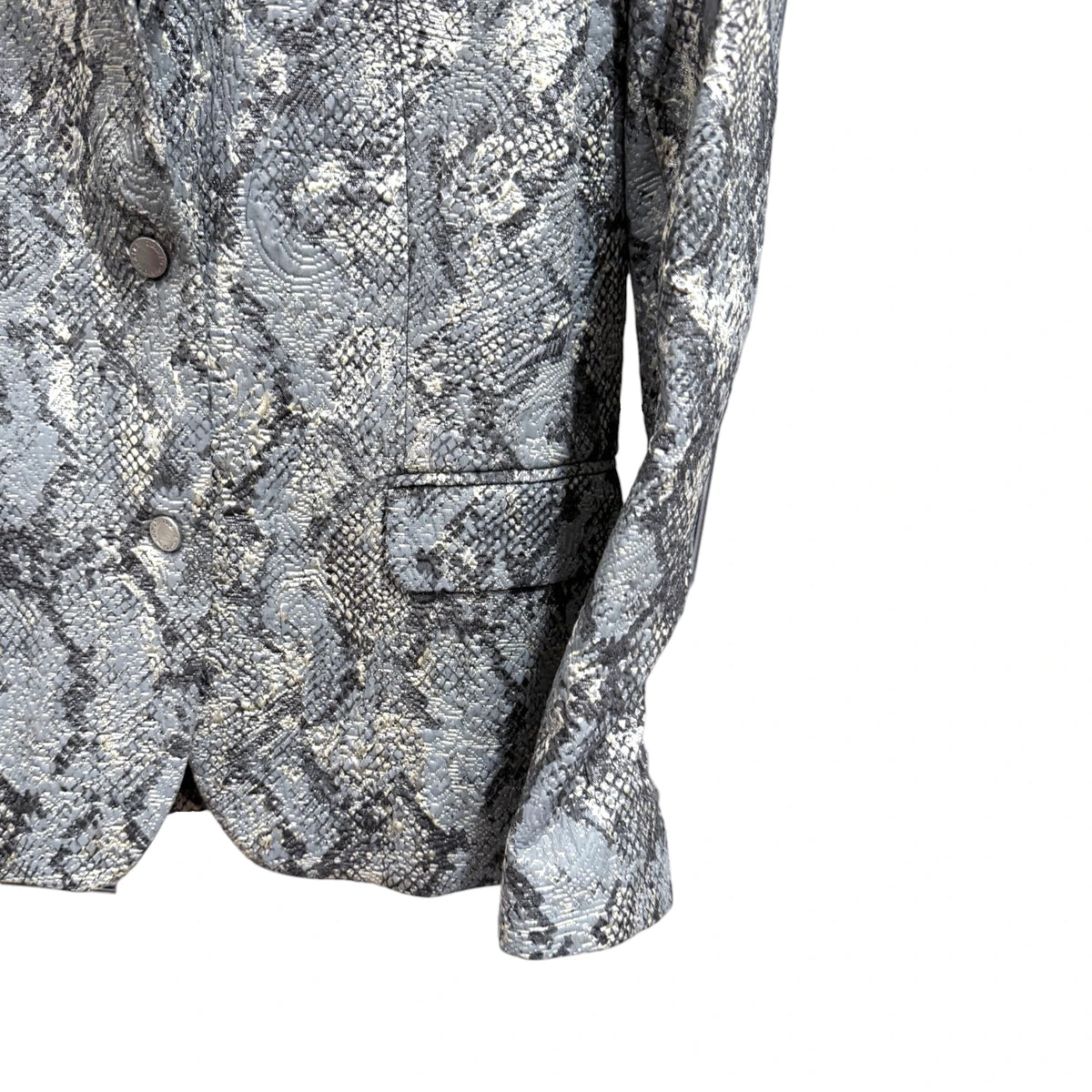 Zadig & Voltaire Deluxe Veda Python Blazer
