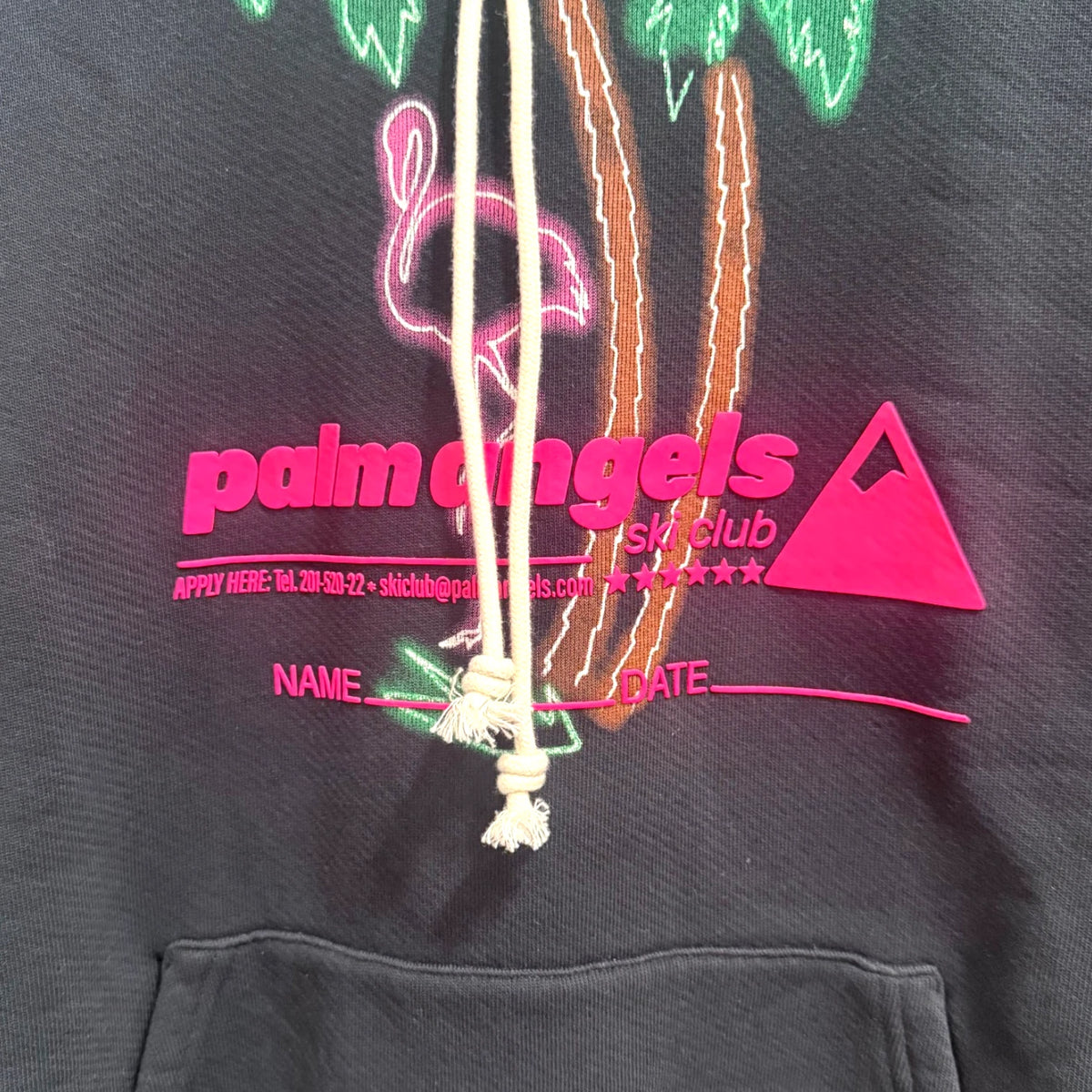 Palm Angel Neon Palm Tree Flamingo Hoodie