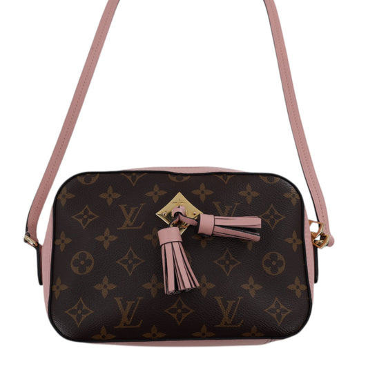 Louis Vuitton Saintonage Monogram Bag