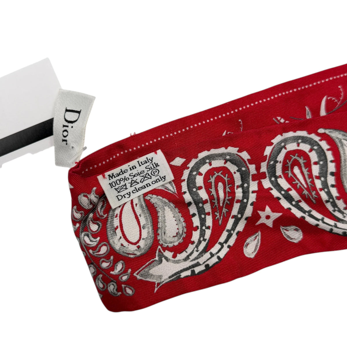 DIOR Bandana Twilly