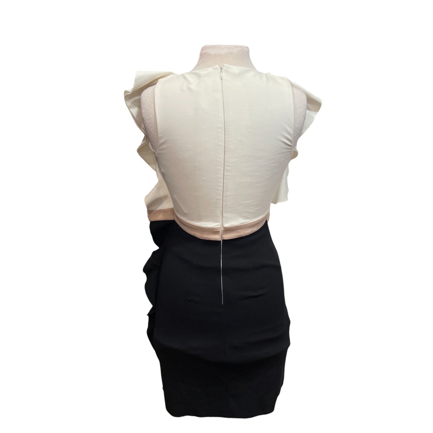 Valentino Ivory/Black Ruffle Dress