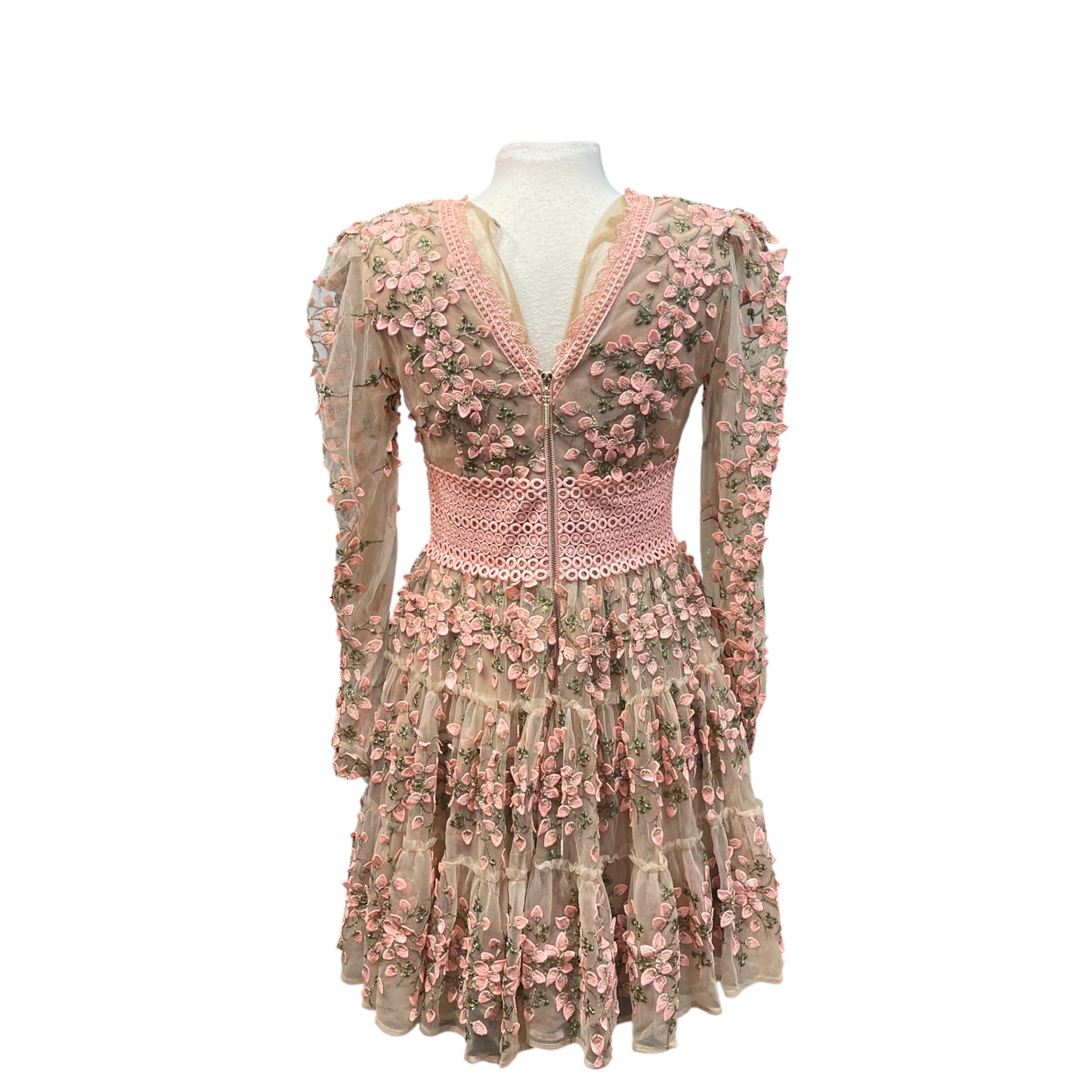 Bronx and Banco Megan Embroidered Mini Dress