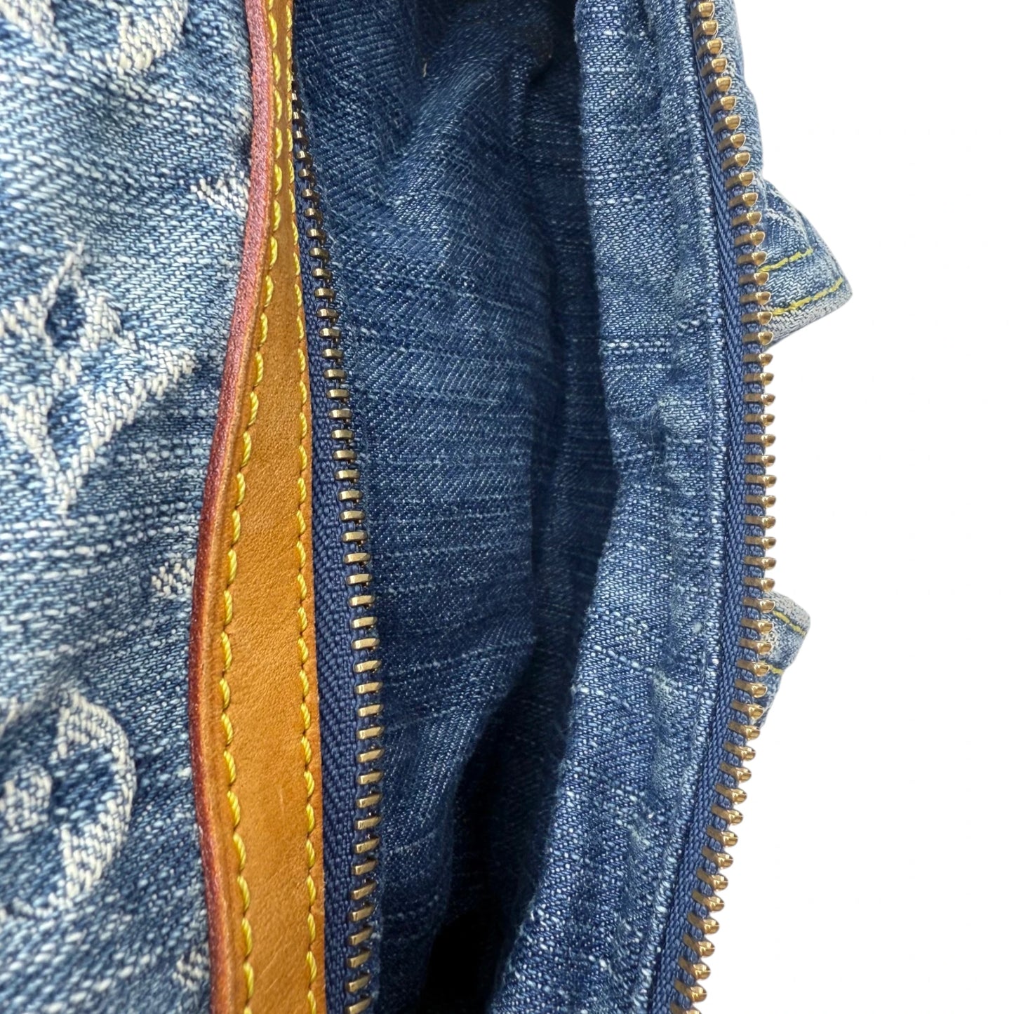 Louis Vuitton Monogram Denim Baggy PM