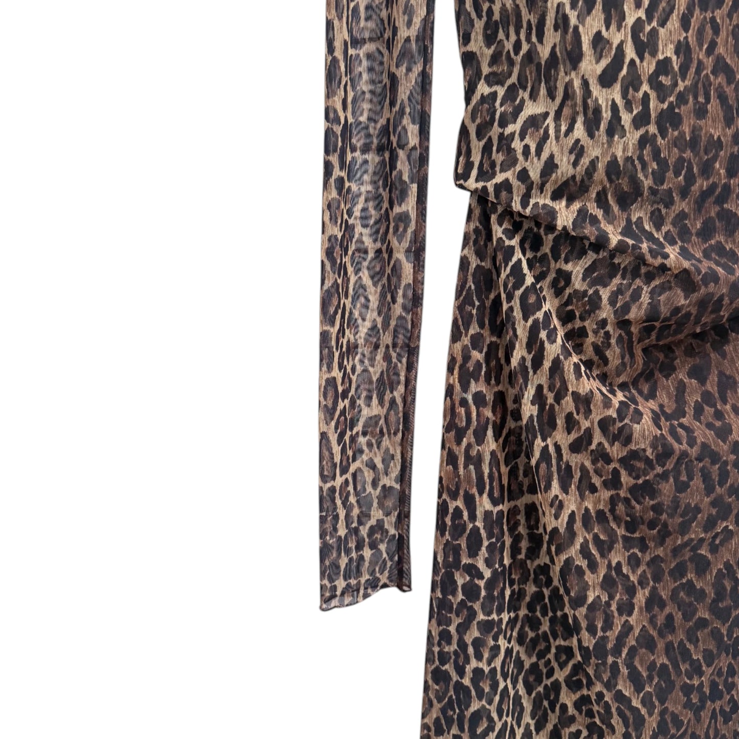 Dolce & Gabbana Sheer Leopard Dress