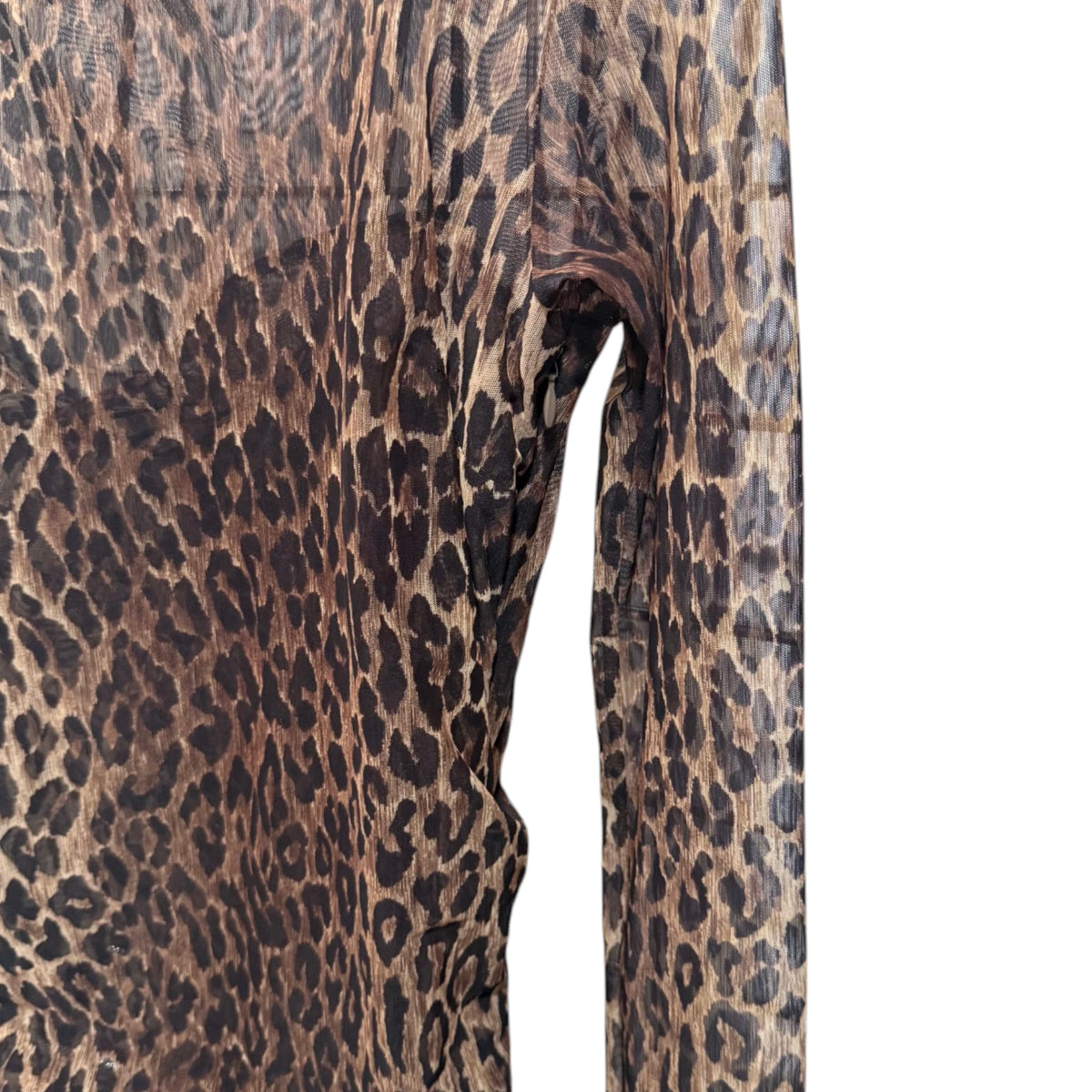 Dolce & Gabbana Sheer Leopard Dress