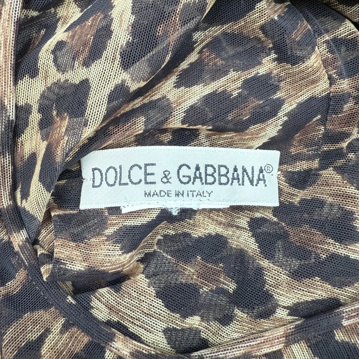 Dolce & Gabbana Sheer Leopard Dress